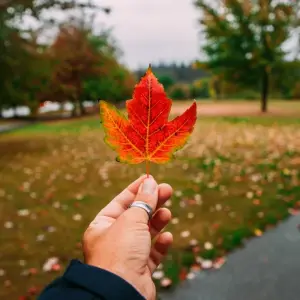 Explore Vancouver Island for 9 days with DERTOUR and discover unforgettable experiences - Photo 4