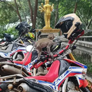 Explore Exhilarating Phnom Penh Offroad Motorcycle Tour to Kratie & Kampong Thom - 4 Days for 4 days with DNQ Travel and discover unforgettable experiences - Photo 5