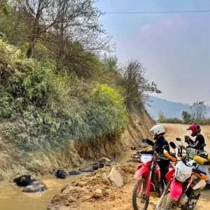 Explore Scenic Siemreap Offroad Motorbike Tour to Banlung, Kratie & Preah Vihear - 6 Days for 6 days with DNQ Travel and discover unforgettable experiences - Photo 8