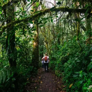 Explore Monteverde Cloud Forest for 3 days with DERTOUR and discover unforgettable experiences - Photo 4