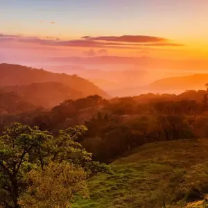 Explore Monteverde Cloud Forest for 3 days with DERTOUR and discover unforgettable experiences - Photo 7