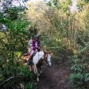 Explore Monteverde Cloud Forest for 3 days with DERTOUR and discover unforgettable experiences - Photo 10