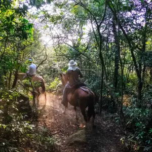 Explore Monteverde Cloud Forest for 3 days with DERTOUR and discover unforgettable experiences - Photo 11