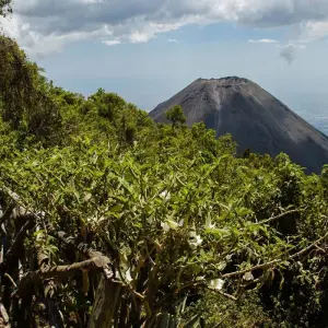 Explore Chapada Diamantina for 4 days with DERTOUR and discover unforgettable experiences - Photo 9