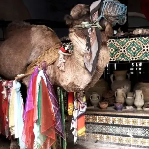 Explore Tunisia UNESCO World Heritage Sites for 9 days with Depart Travel Services and discover unforgettable experiences - Photo 4