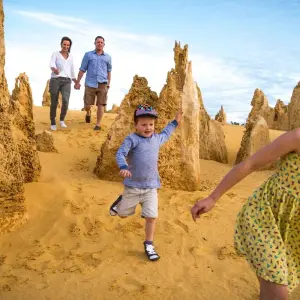 Explore 【Perth】7 Days Perth & Rottnest Island Packages for 7 days with Delightful Travel and discover unforgettable experiences - Photo 9