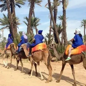 Explore The Grand Tour of Tunisia for 11 days with Depart Travel Services and discover unforgettable experiences - Photo 7