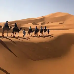 Explore Marrakech To Merzouga 3 days camel ride for 3 days with Desertbrise Travel and discover unforgettable experiences - Photo 11