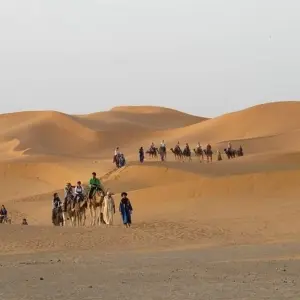 Explore 8 Days Morocco Authentic Tour for 8 days with Desertbrise Travel and discover unforgettable experiences - Photo 6
