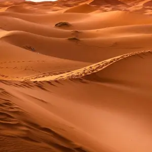 Explore North of Morocco for 10 days with Desertbrise Travel and discover unforgettable experiences - Photo 4
