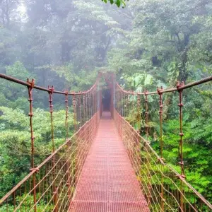Explore Costa Rica Natural Paradise for 8 days with Destination Services Costa Rica and discover unforgettable experiences - Photo 2