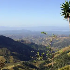 Explore Costa Rica Natural Paradise for 8 days with Destination Services Costa Rica and discover unforgettable experiences - Photo 4