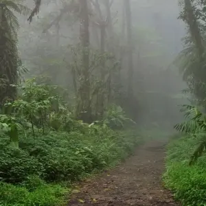 Explore Multisport Through Volcanoes & Rivers (On Request) for 8 days with Destination Services Costa Rica and discover unforgettable experiences - Photo 11