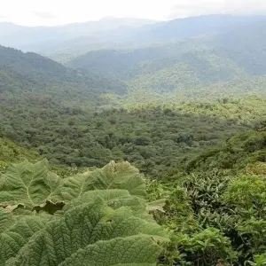 Explore Exotic Costa Rica, Self-drive for 8 days with Destination Services Costa Rica and discover unforgettable experiences - Photo 2