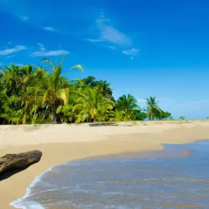 Explore Caribbean to Pacific, Self-drive for 10 days with Destination Services Costa Rica and discover unforgettable experiences - Photo 4