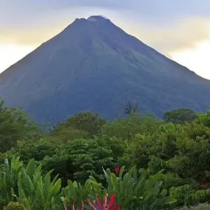 Explore Caribbean to Pacific, Self-drive for 10 days with Destination Services Costa Rica and discover unforgettable experiences - Photo 6