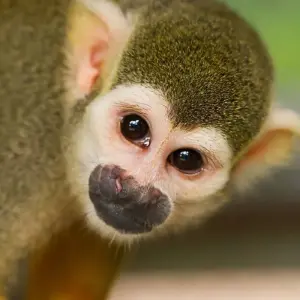 Explore Exotic Costa Rica, Self-drive for 8 days with Destination Services Costa Rica and discover unforgettable experiences - Photo 7