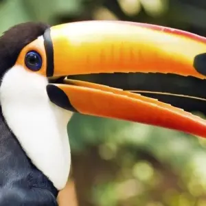 Explore Jaco Beach, Short Break for 3 days with Destination Services Costa Rica and discover unforgettable experiences - Photo 3