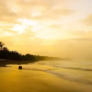 Explore Beaches and Nature with Tambor, Self-drive for 15 days with Destination Services Costa Rica and discover unforgettable experiences - Photo 8