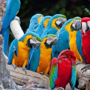 Explore Jaco Beach, Short Break for 3 days with Destination Services Costa Rica and discover unforgettable experiences - Photo 5
