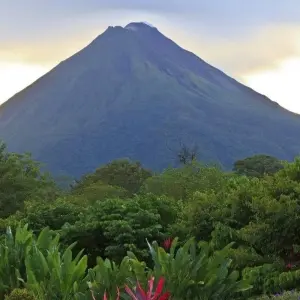 Explore From the Atlantic to the Pacific for 11 days with Destination Services Costa Rica and discover unforgettable experiences - Photo 8