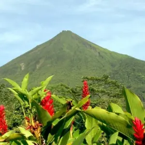 Explore Tropical Costa Rica, 7 Days for 7 days with Destination Services Costa Rica and discover unforgettable experiences - Photo 6