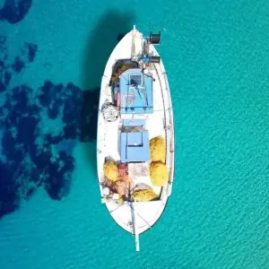 Explore Cyclades Island Hopping: Athens, Mykonos and Paros for 8 days with Destination Services Greece and discover unforgettable experiences - Photo 5