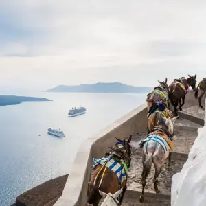 Explore Island Hopping, The Cyclades Gems: Mykonos, Santorini for 8 days with Destination Services Greece and discover unforgettable experiences - Photo 9