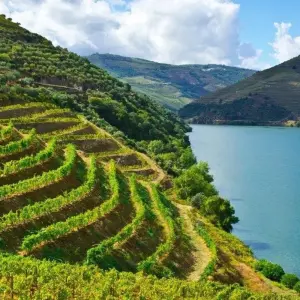 Explore The Pearls of the North of Portugal, Self-drive for 8 days with Destination Services Portugal and discover unforgettable experiences - Photo 2