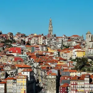 Explore Porto City Break, 6 Days for 6 days with Destination Services Portugal and discover unforgettable experiences - Photo 6