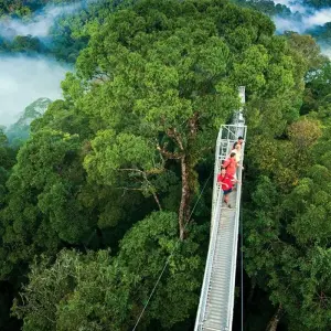 Explore Exotic Landscapes of Costa Rica for 9 days with Destiny Travel Costa Rica  and discover unforgettable experiences - Photo 2