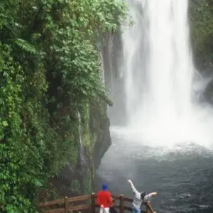 Explore Naturally Costa Rica for 12 days with Destiny Travel Costa Rica  and discover unforgettable experiences - Photo 3