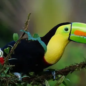 Explore 3 Volcanoes & Guanacaste Beach All inclusive 9 days for 9 days with Destiny Travel Costa Rica  and discover unforgettable experiences - Photo 3