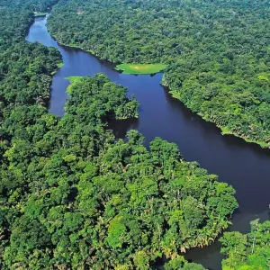 Explore Naturally Costa Rica for 12 days with Destiny Travel Costa Rica  and discover unforgettable experiences - Photo 5