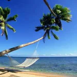 Explore Naturally Costa Rica for 12 days with Destiny Travel Costa Rica  and discover unforgettable experiences - Photo 6