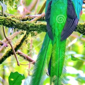 Explore Exotic Landscapes of Costa Rica for 9 days with Destiny Travel Costa Rica  and discover unforgettable experiences - Photo 6