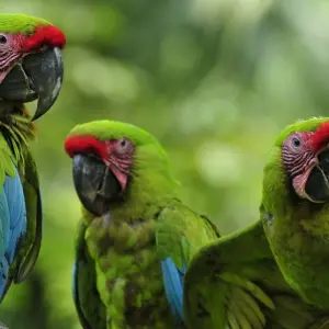 Explore Costa Rica Pure Nature 10 days for 10 days with Destiny Travel Costa Rica  and discover unforgettable experiences - Photo 6