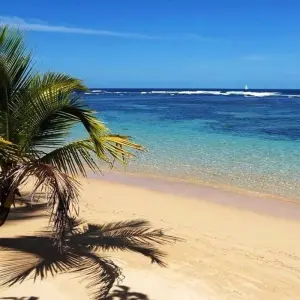 Explore Best Spots of Costa Rica 13 days for 13 days with Destiny Travel Costa Rica  and discover unforgettable experiences - Photo 8
