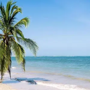 Explore Touring Costa Rica "Fly & Drive" for 13 days with Destiny Travel Costa Rica  and discover unforgettable experiences - Photo 7
