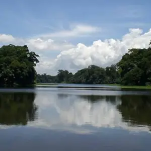 Explore Best Spots of Costa Rica 13 days for 13 days with Destiny Travel Costa Rica  and discover unforgettable experiences - Photo 9