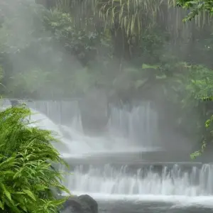 Explore San Jose Hightlights & Arenal Volcano Adventure for 8 days with Destiny Travel Costa Rica  and discover unforgettable experiences - Photo 11