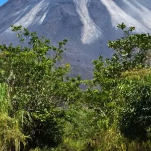 Explore Naturally Costa Rica for 12 days with Destiny Travel Costa Rica  and discover unforgettable experiences - Photo 11