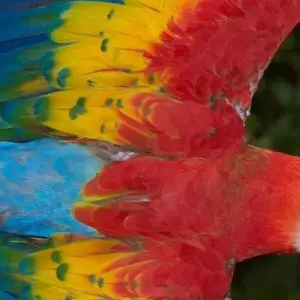 Explore Costa Rica Pure Nature 10 days for 10 days with Destiny Travel Costa Rica  and discover unforgettable experiences - Photo 11