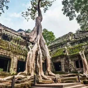 Explore Thailand Grand Tour & Cambodia Package, Private tour (Multi country) for 13 days with Destination Services Thailand and discover unforgettable experiences - Photo 2