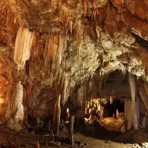 Explore Andaman to Gulf, Private Tour for 6 days with Destination Services Thailand and discover unforgettable experiences - Photo 4