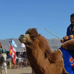 Explore Trekking in the Altai Mountains of Mongolia for 10 days with Discover Altai and discover unforgettable experiences - Photo 4
