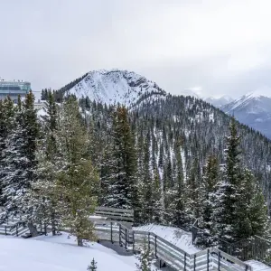 Explore Rockies Premium Christmas Tour for 5 days with Discover Canada Tours and discover unforgettable experiences - Photo 4