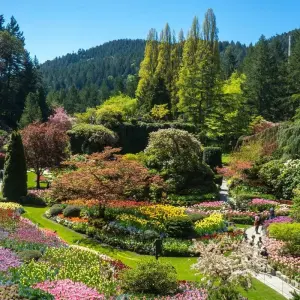 Explore Vancouver Island Premium Tour for 8 days with Discover Canada Tours and discover unforgettable experiences - Photo 5