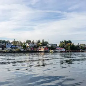 Explore Vancouver Island Premium Tour for 8 days with Discover Canada Tours and discover unforgettable experiences - Photo 11