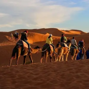 Explore 2 Day Marrakech to the Desert (M'hamid) for 2 days with Discover Morocco Tours and discover unforgettable experiences - Photo 4